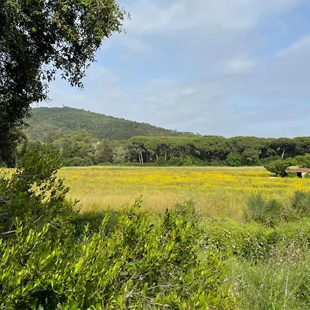 Sea House In Maremma شقة كاستيغليون ديلا بيسكايا